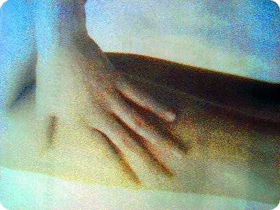 VNM-dauchi
