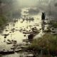 Tarkovsky 1stalker-mud-dog1_thumb.jpg