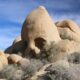 đá Joshua-Tree-by-Geoffrey-Morrison-4-of-11