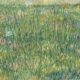 GRASS VAN GOGH