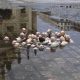 Isaac-Cordal-Politicians-discussing-climate-change_thumb.jpg