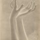 Edward-Steichen-Blossom-of-White-Fingers_thumb.jpg